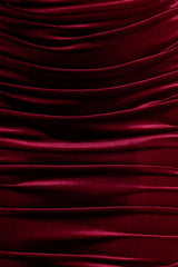 Apolline | Berry Velvet Off The Shoulder Ruched Fishtail Maxi Dress